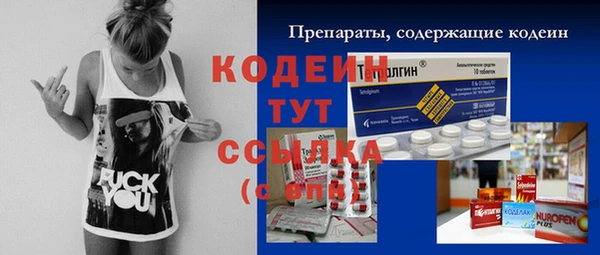 ГАЛЛЮЦИНОГЕННЫЕ ГРИБЫ Каменка