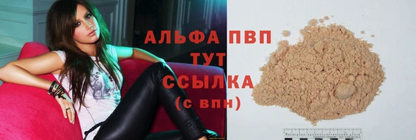 ГАЛЛЮЦИНОГЕННЫЕ ГРИБЫ Каменка