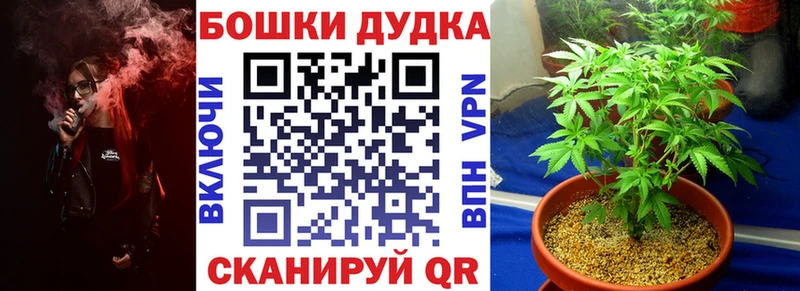 Купить где  Сорочинск  Канабис индика 